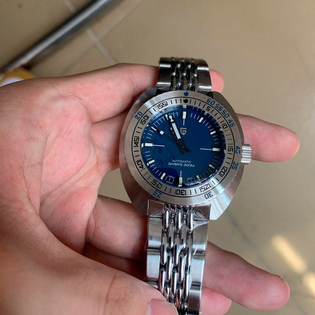 Pagani Design Turtle Blue