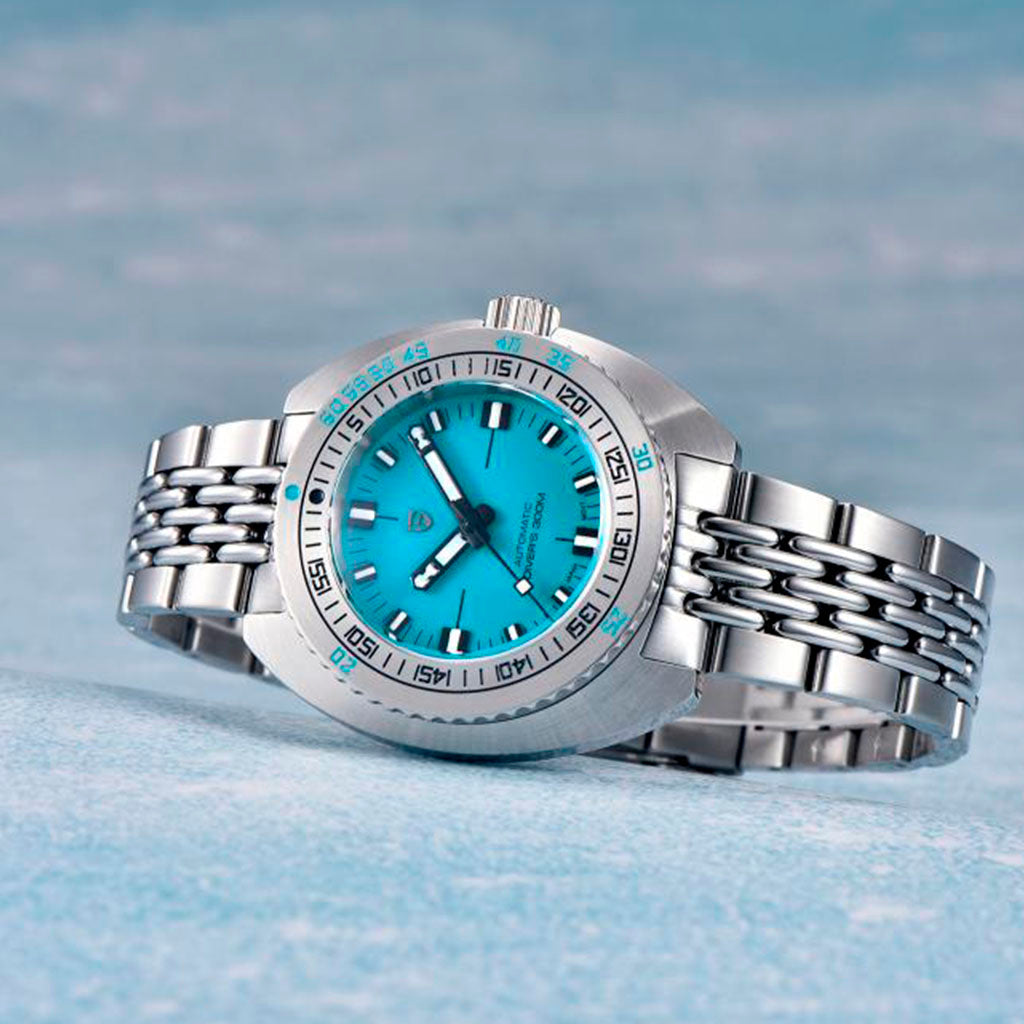 Pagani Design Turtle Turquoise